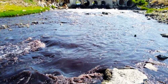 Ergene’de Çevreyi Kirleten Tesislerin Faaliyeti Durduruldu