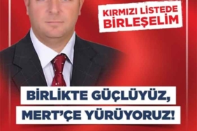 adaylık-acıklaması