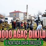 ergene_agac_dikildi